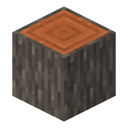 Acacia Log