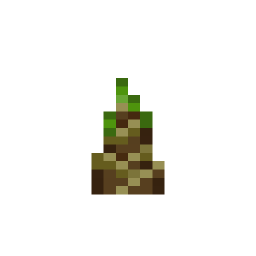 Bamboo Shoot
