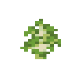 Birch Sapling
