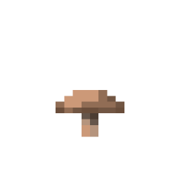 Brown Mushroom