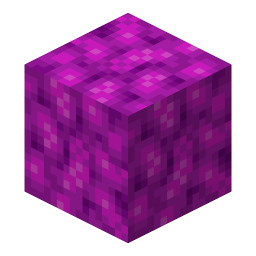 Bubble Coral Block