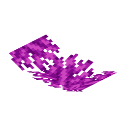 Bubble Coral Fan