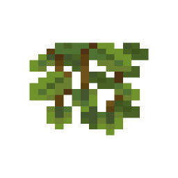 Cave Vines