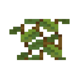 Cave Vines Plant