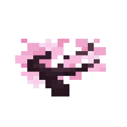 Cherry Sapling