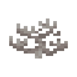 Dead Fire Coral