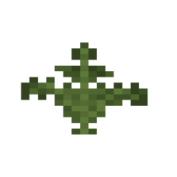 Fern
