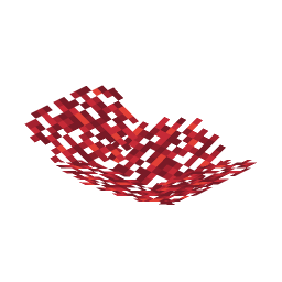 Fire Coral Fan