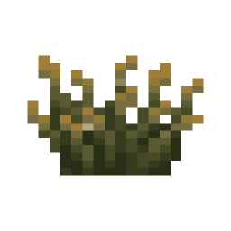 Firefly Bush