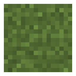 The grass block top face, tinted for the plains biome