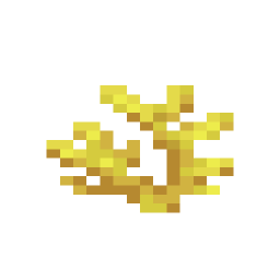 Horn Coral
