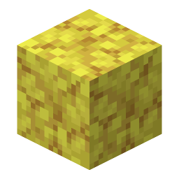 Horn Coral Block