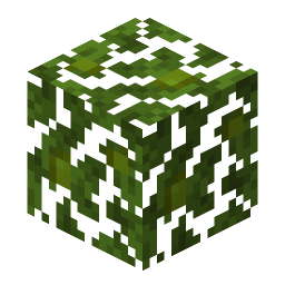 Jungle Leaves