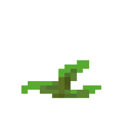 Kelp