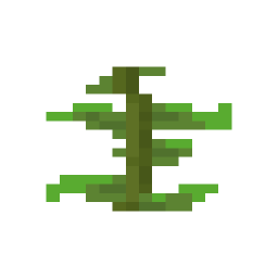 Kelp Plant