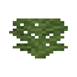 Large Fern
