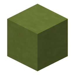 Lime Terracotta