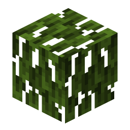 Mangrove Leaves