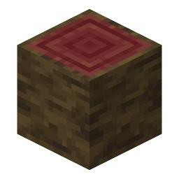 Mangrove Log