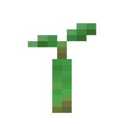 Mangrove Propagule