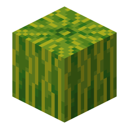 Melon