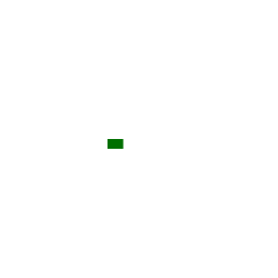 Melon Stem