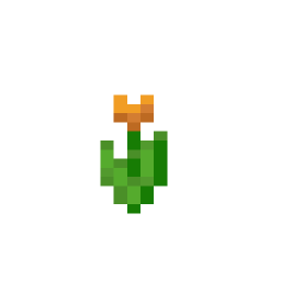 Orange Tulip