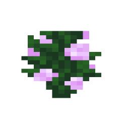 Peony