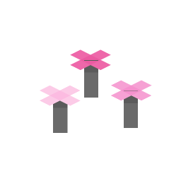 Pink Petals
