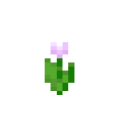Pink Tulip