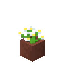 Potted Azure Bluet