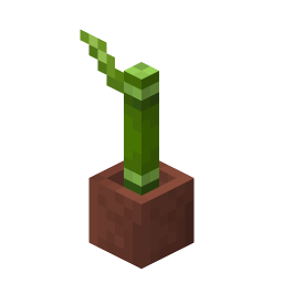 Potted Bamboo