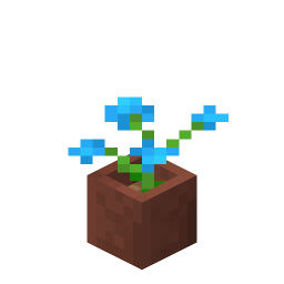 Potted Blue Orchid