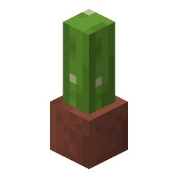 Potted Cactus