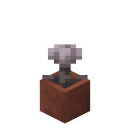 Potted Closed Eyeblossom