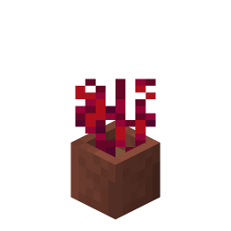 Potted Crimson Roots