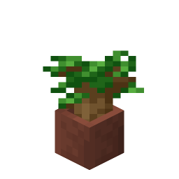Potted Dark Oak Sapling