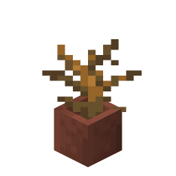 Potted Dead Bush