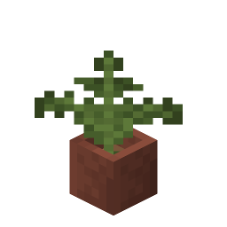 Potted Fern