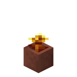 Potted Golden Dandelion