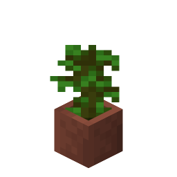 Potted Jungle Sapling