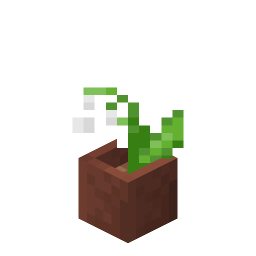 Potted Lily of the Valley
