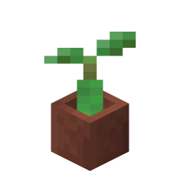 Potted Mangrove Propagule