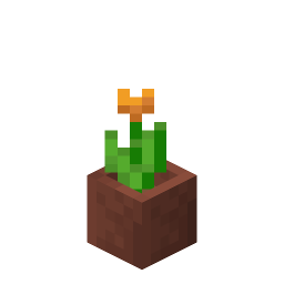 Potted Orange Tulip