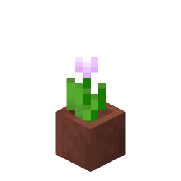 Potted Pink Tulip