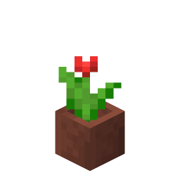 Potted Red Tulip