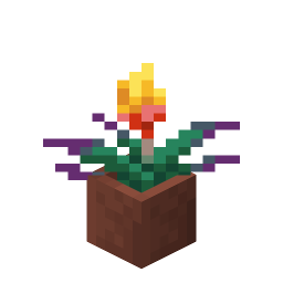 Potted Torchflower