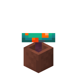 Potted Warped Fungus
