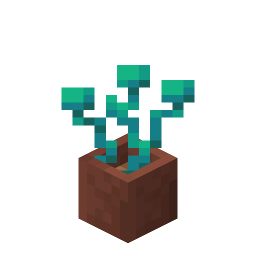 Potted Warped Roots