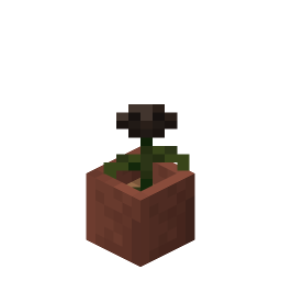 Potted Wither Rose